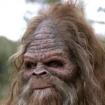 Profile picture of Gusquatch